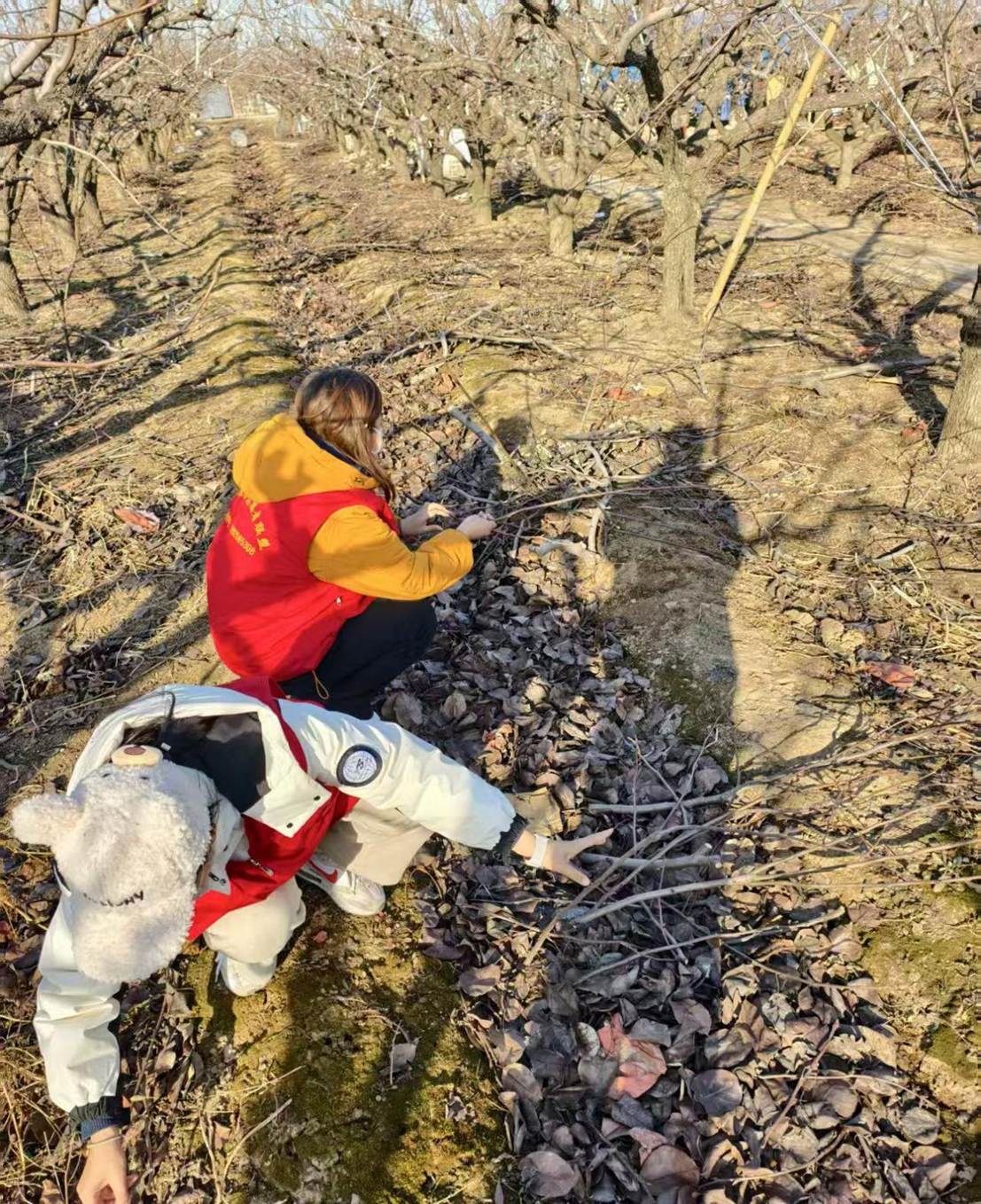 c05b8e34ae37b5f17adc43c992e3014c